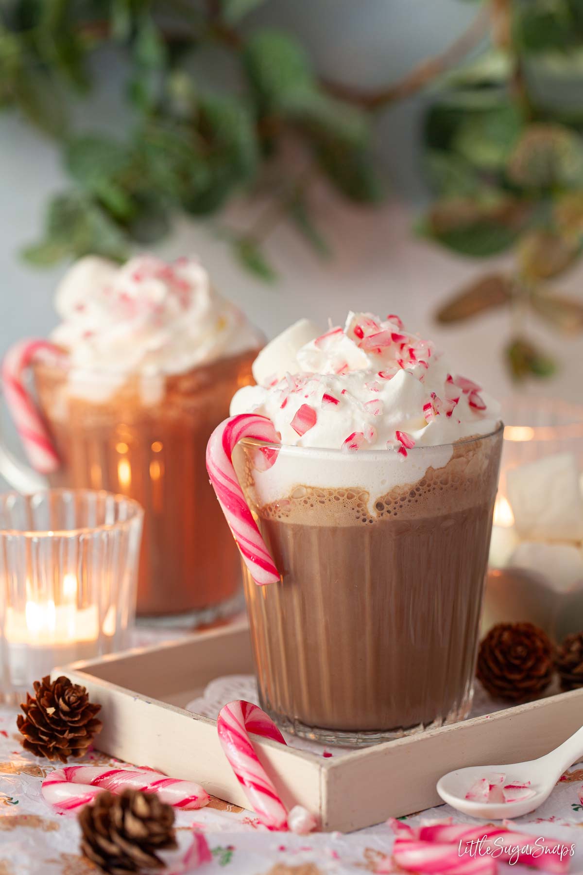 Candy cane hot cocoa topped with whipped cream, crushed candy cane and marshmallow.