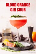 Labelled blood orange gin sour with foamy top and rosemary garnish.