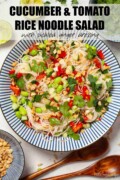 Labelled cucumber and tomato noodle salad in a serving bowl.