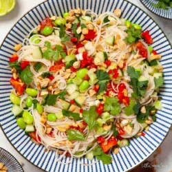 Vermicelli cucumber tomato noodle salad with edamame beans and peanuts in a bowl.