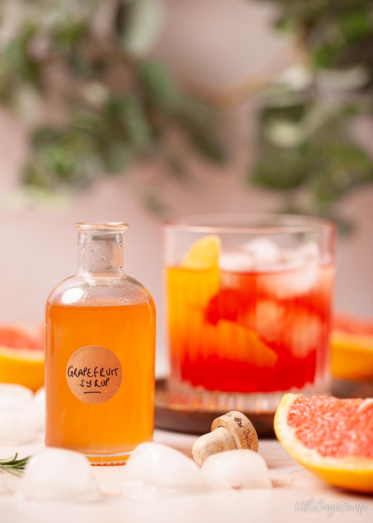A bottle of grapefruit simple syrup in front of a grapefruit negroni cocktail.