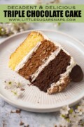 Labelled slice of three layer chocolate cake on a plate with white, milk and dark chocolate layers.