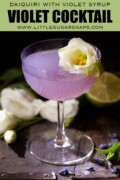 Labelled violet syrup cocktail in a vintage coupe glass garnished with a curl of lime and a white flower.