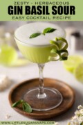 Labelled gin basil sour with egg white foam, basil leaf and lime zest garnishes.