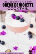 A labelled creme de violette cocktail with egg white foam with blueberry and flower garnish.