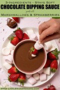 Plated marshmallows and strawberries with chocolate dipping sauce on a plate and someone dipping skewered marshmallows into it. With text overlay.