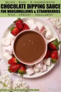 Labelled chocolate dipping sauce for marshmallows and strawberries all served on a plate together.