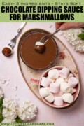 Labelled marshmallow on a fork being dipped into chocolate sauce with a bowl of marshmallows alongside.