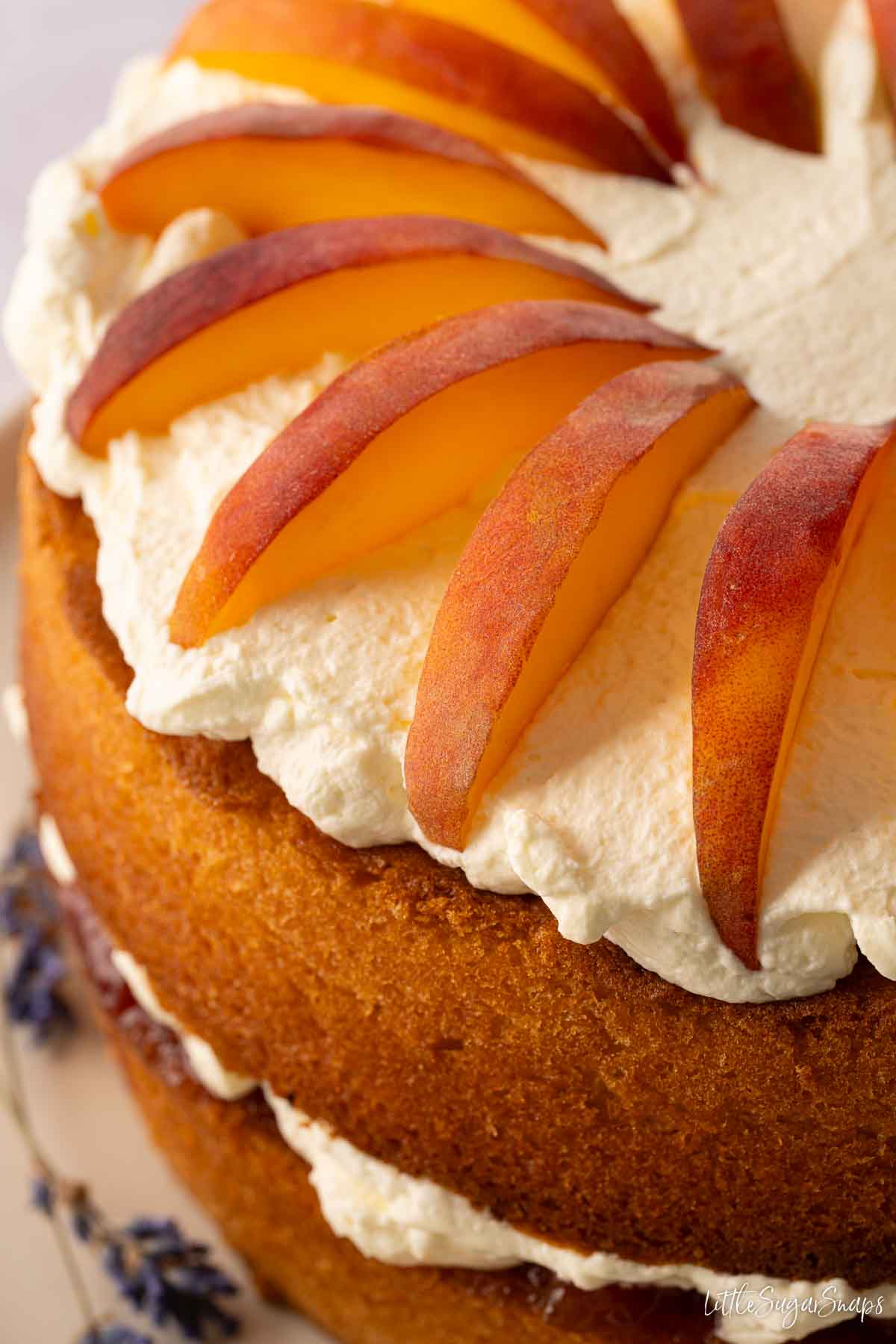 The top of a peaches and cream cake garnished with wedges of peach.